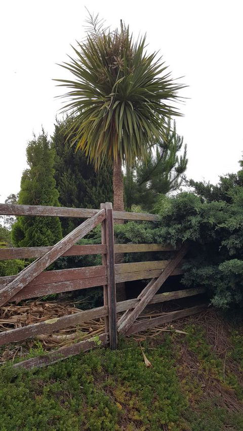 Hazelcreek Cottages - ACT Tourism 38