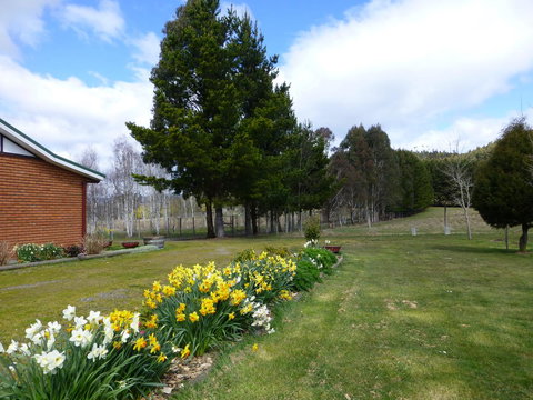 Quamby Pines Chalet - ACT Tourism 23