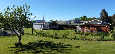 Quamby Pines Chalet - ACT Tourism 1