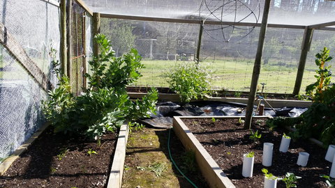 Quamby Pines Chalet - ACT Tourism 17