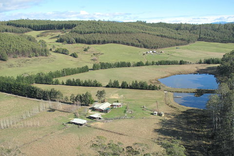 Quamby Pines Chalet - ACT Tourism 7