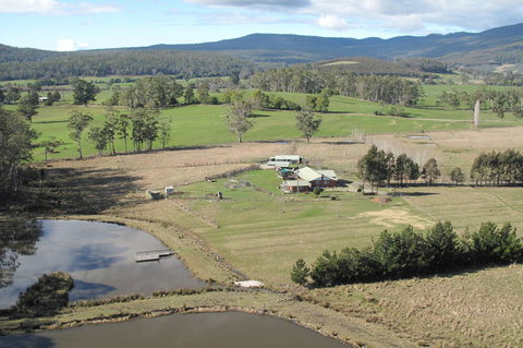 Quamby Pines Chalet - ACT Tourism 9