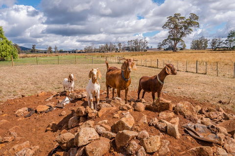 Glencoe Country Bed And Breakfast - ACT Tourism 36