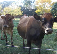 Drumreagh Bed  Breakfast Cabins - ACT Tourism