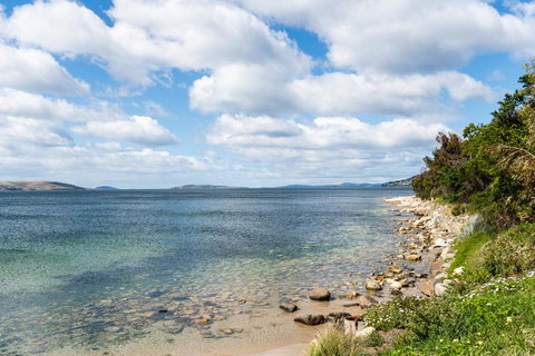 Litora Accommodation - ACT Tourism 27