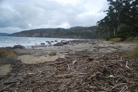 Beachside Taroona With Spa - ACT Tourism 27
