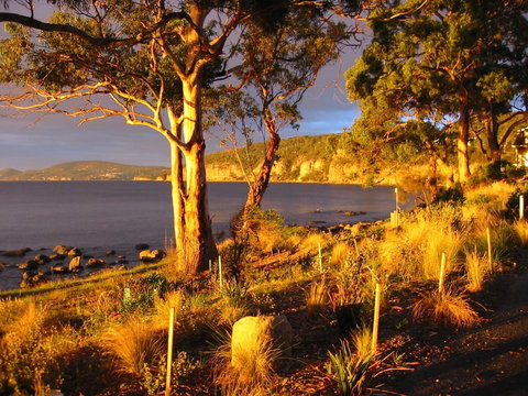 Beachside Taroona With Spa - ACT Tourism 19