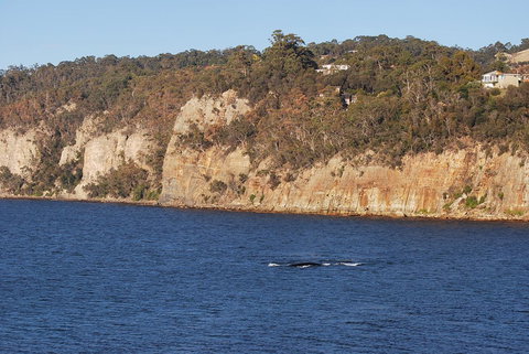 Beachside Taroona With Spa - ACT Tourism 29