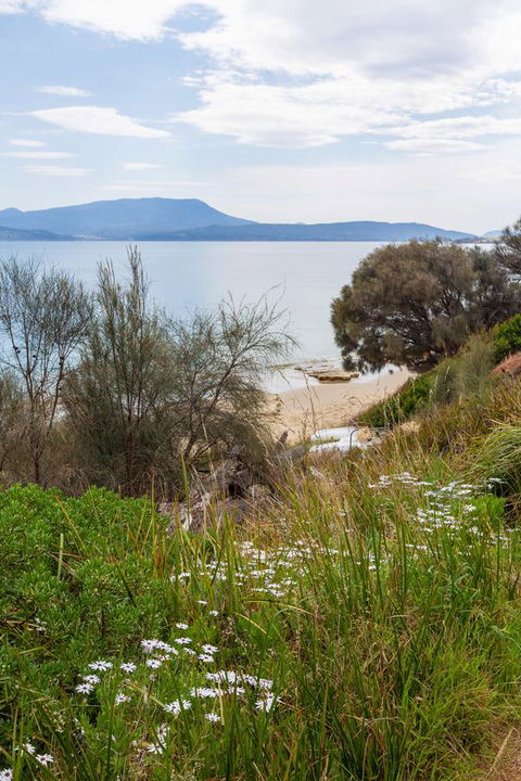 Blessington Beach Retreat - ACT Tourism 37