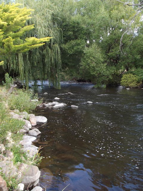 Blue Wren Riverside Cottage - ACT Tourism 7