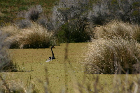 Cloudy Bay Beach House - ACT Tourism 15