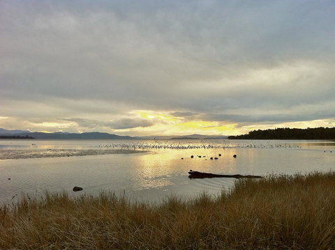 Cloudy Bay Beach House - ACT Tourism 11