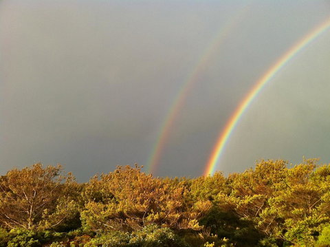 Cloudy Bay Beach House - ACT Tourism 44