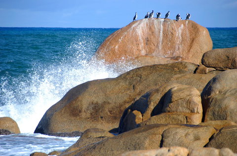 Cloudy Bay Beach House - ACT Tourism 29