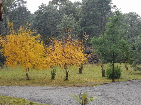 Cradle Alpine Retreat - ACT Tourism 3