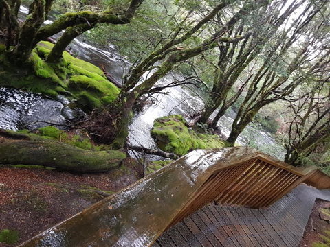 Cradle Alpine Retreat - ACT Tourism 13