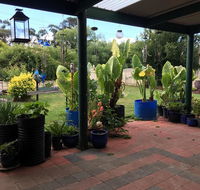 Blue Wren Bungalow - ACT Tourism