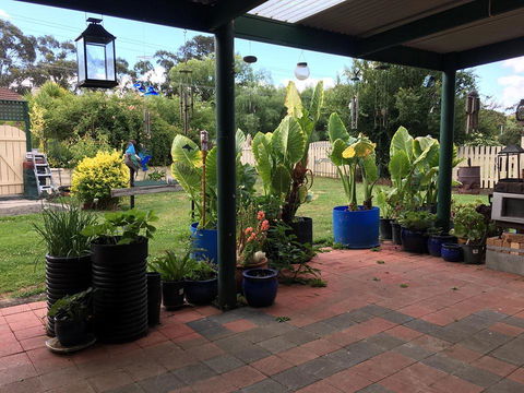 Blue Wren Bungalow - ACT Tourism 0