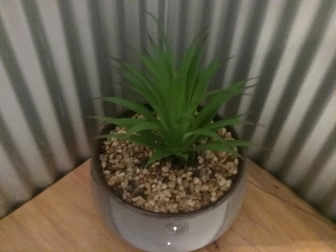 Tullah Tavern - ACT Tourism 6