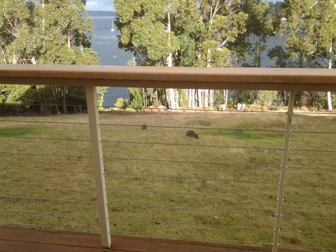 Marinavisage - ACT Tourism 20