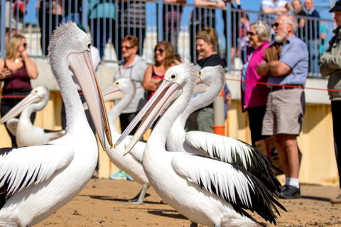 BIG4 Ingenia Holidays Phillip Island - ACT Tourism 17
