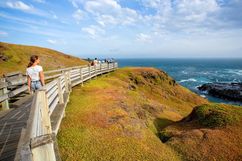 BIG4 Ingenia Holidays Phillip Island - ACT Tourism 19
