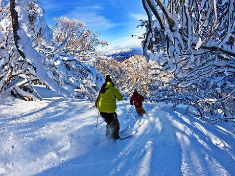 Buller Central Hotel - ACT Tourism 13
