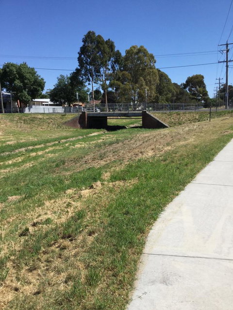 Flora Hill Creek Views - ACT Tourism 19