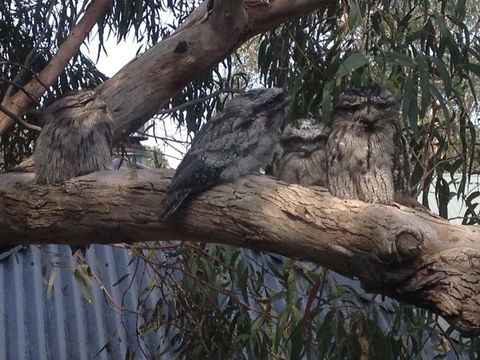 Kookas Retreat - ACT Tourism 15