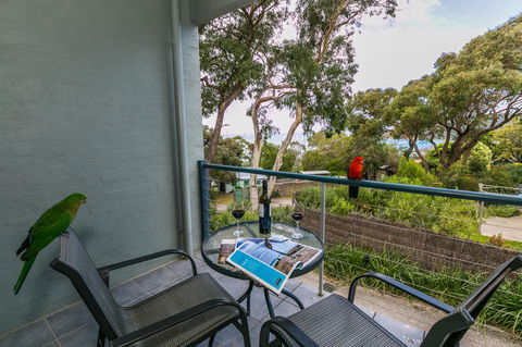 Lorne Surf Apartments - ACT Tourism 21
