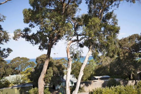 Lorne Surf Apartments - ACT Tourism 6