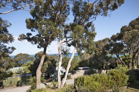 Lorne Surf Apartments - ACT Tourism 11