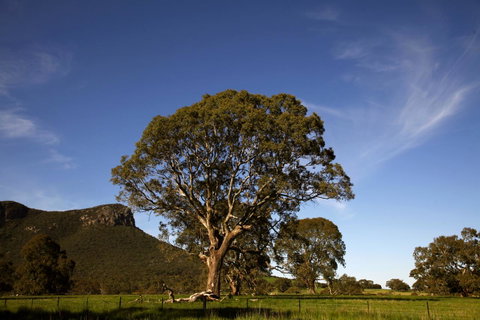 Dunkeld Studio Accommodation - ACT Tourism 23