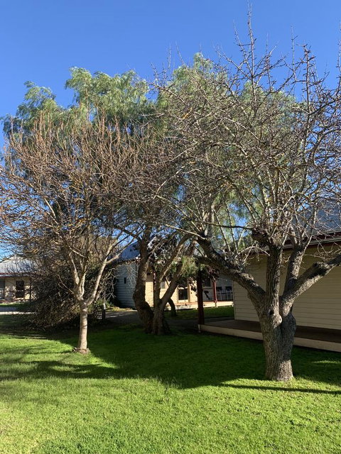 Dunkeld Studio Accommodation - ACT Tourism 4