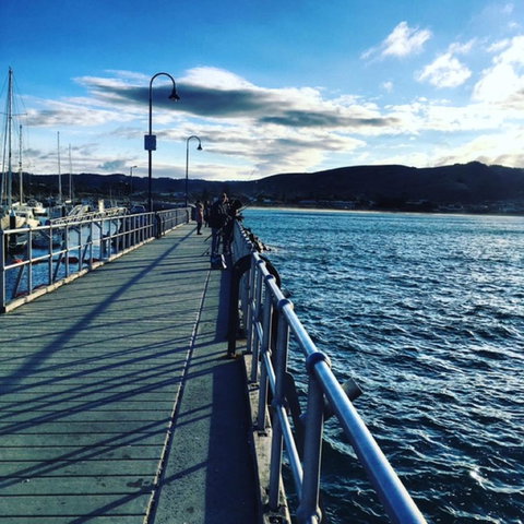 The Dolphin Apartments - ACT Tourism 16