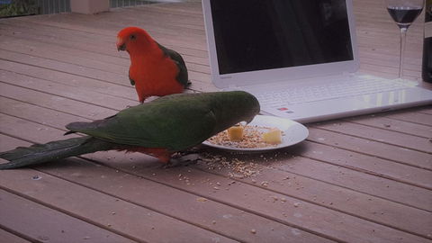 Wilsons Promontory Motel - ACT Tourism 12