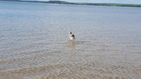 Wilsons Promontory Motel - ACT Tourism 35