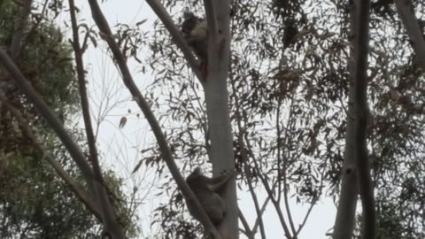 Wilsons Promontory Motel - ACT Tourism 28