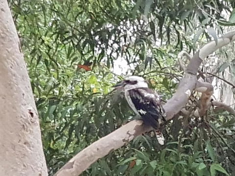 Wilsons Promontory Motel - ACT Tourism 26