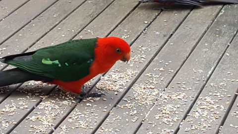 Wilsons Promontory Motel - ACT Tourism 27