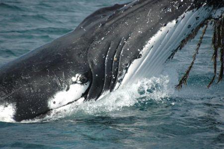 Wilsons Promontory Motel - ACT Tourism 42