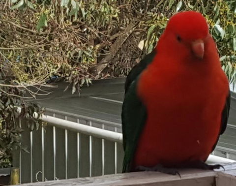 Wilsons Promontory Motel - ACT Tourism 23