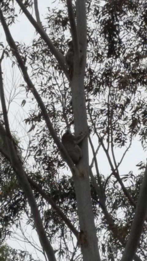 Wilsons Promontory Motel - ACT Tourism 29