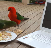 Wilsons Promontory Motel - ACT Tourism