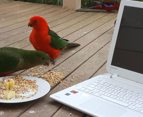 Wilsons Promontory Motel - ACT Tourism 0