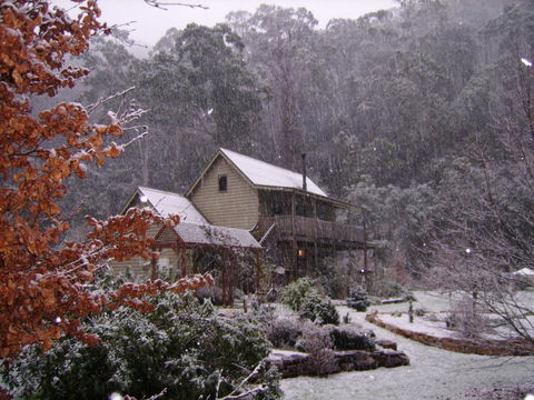 Shady Brook Cottages - ACT Tourism 24