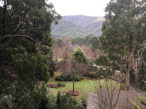 Shady Brook Cottages - ACT Tourism 18