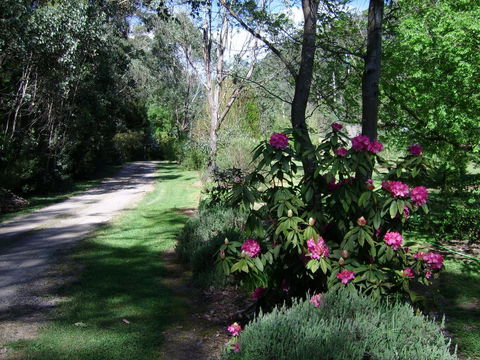 Shady Brook Cottages - ACT Tourism 15