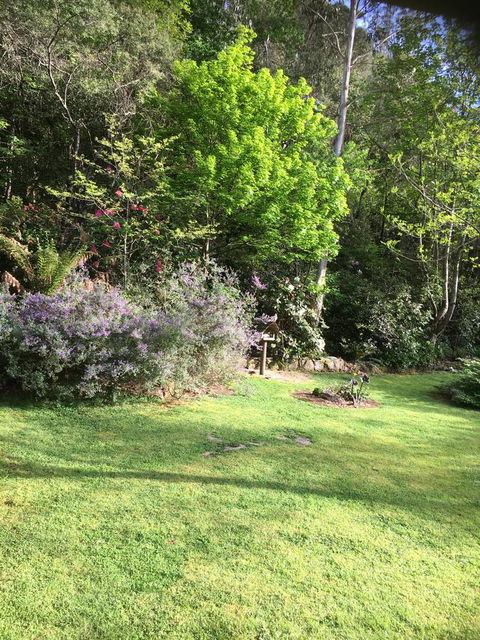 Shady Brook Cottages - ACT Tourism 6