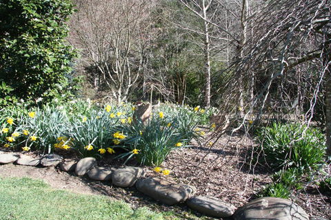 Shady Brook Cottages - ACT Tourism 8